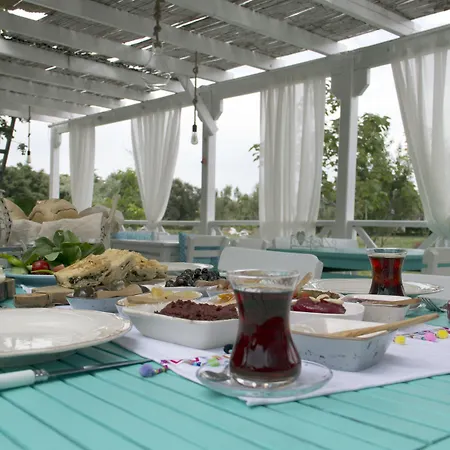 ホテル Madam Eleni ボズカーダ