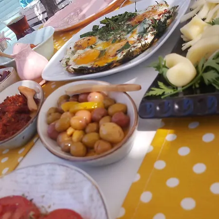 ホテル Madam Eleni ボズカーダ