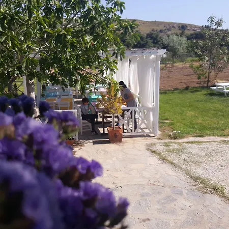 ホテル Madam Eleni ボズカーダ