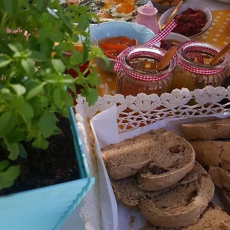 ホテル Madam Eleni ボズカーダ