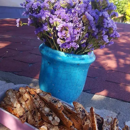 ホテル Madam Eleni 3*